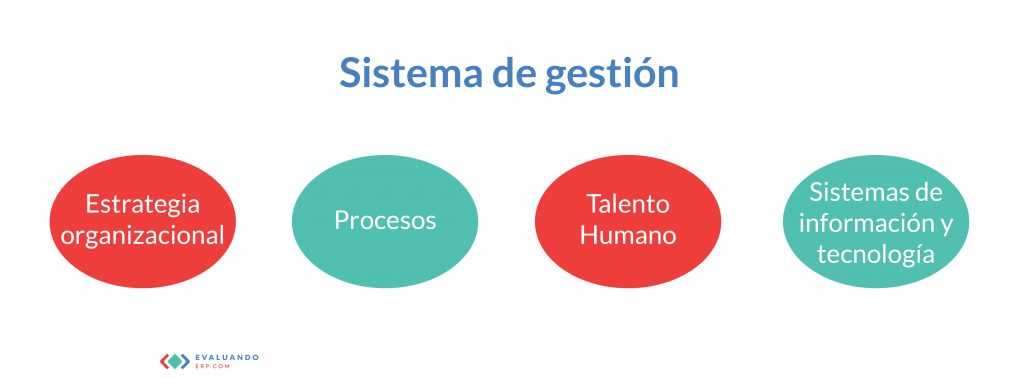 Componentes de un software de gestión