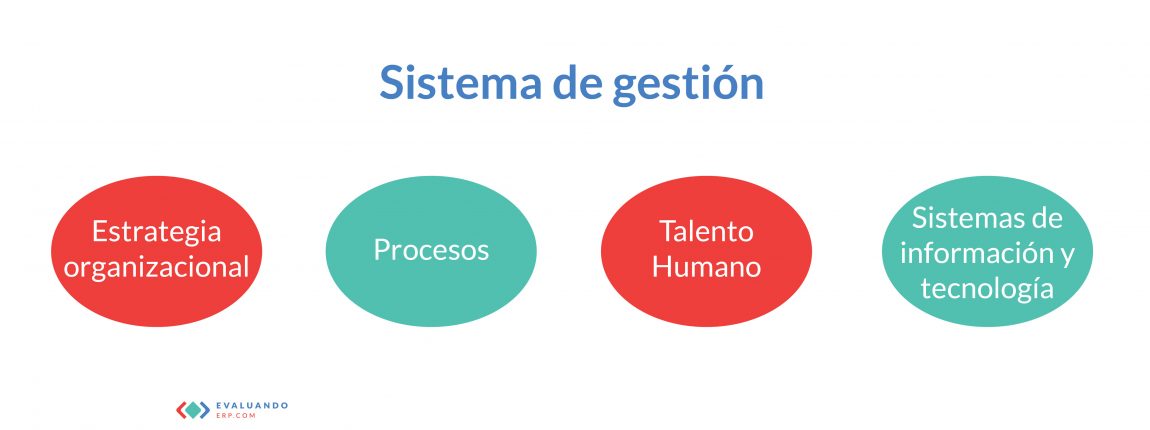 software de gestion