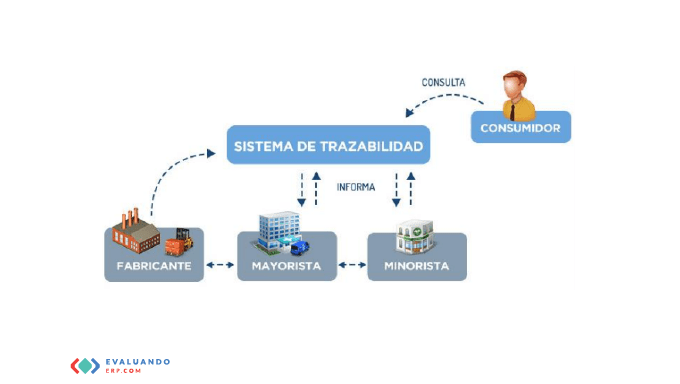 Cómo funciona un sistema para la Trazabilidad